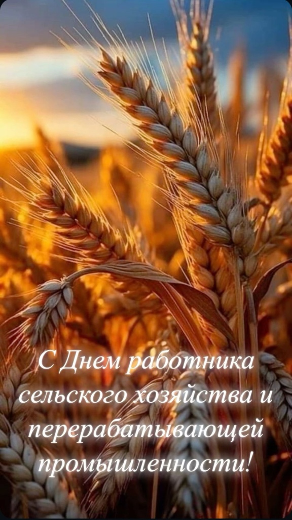 f06ae1cbc8d75ceee5bed7cffd457f01.jpg