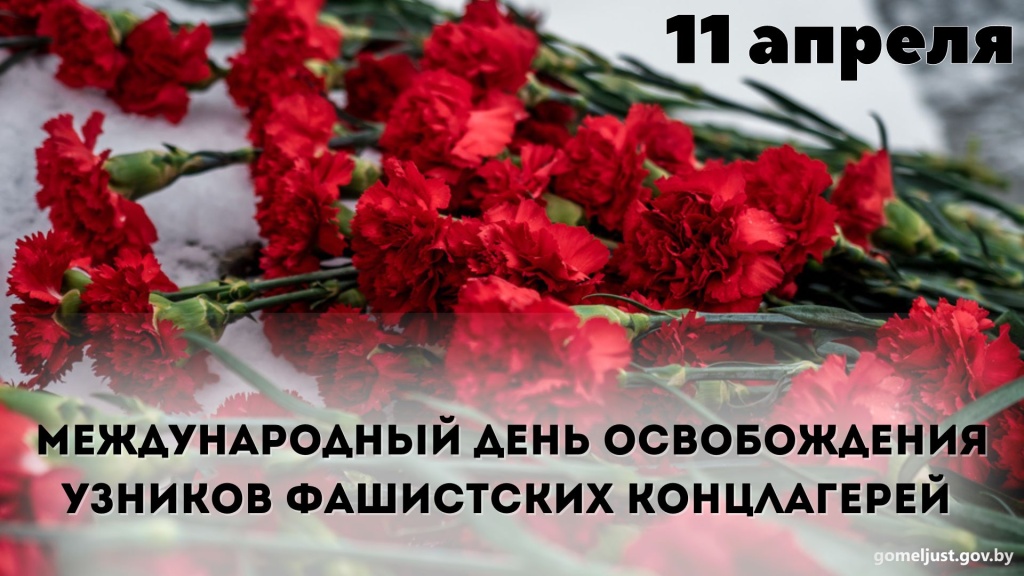 23-лютага-10.jpg 23-лютага-10.jpg